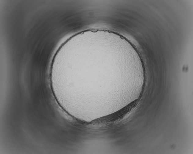 X0000096731248200803041216
