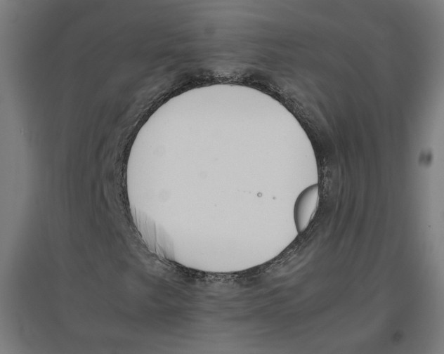X0000096731249200803041215