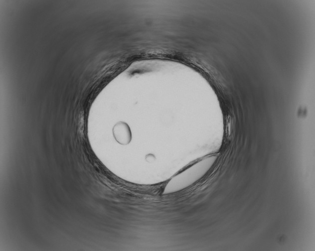 X0000096731251200803041215