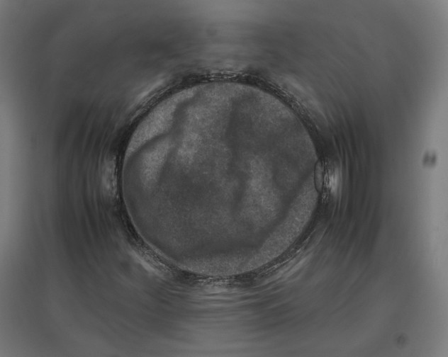 X0000096731252200803041215