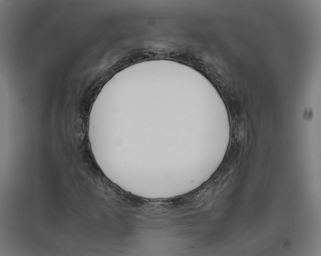 X0000096731253200803041215