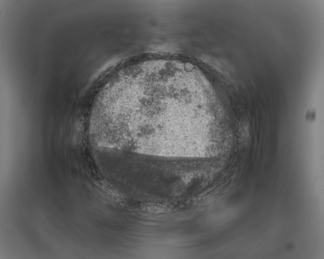 X0000096731254200803041215