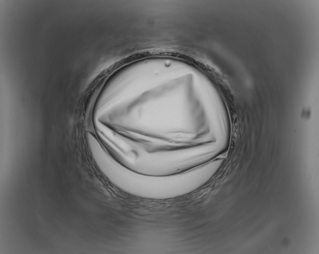 X0000096731255200803041215