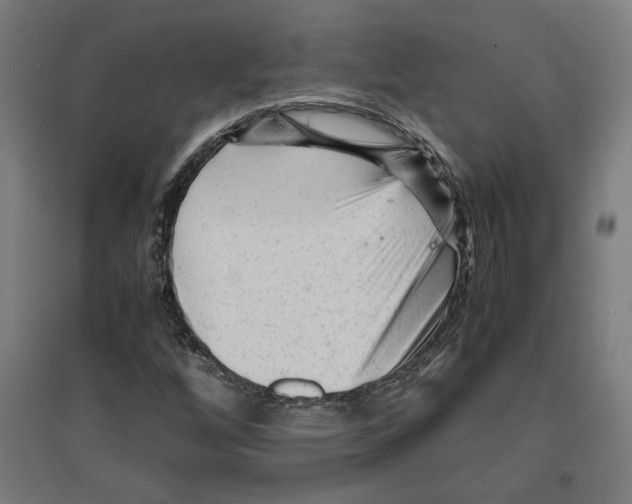 X0000096731256200803041215