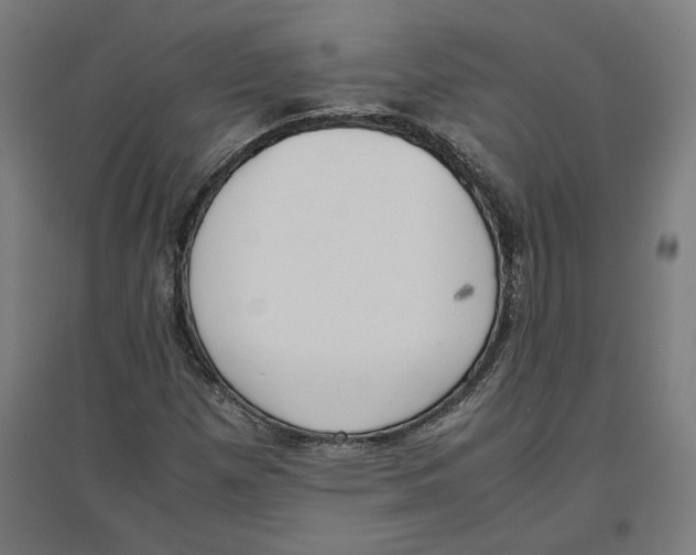X0000096731257200803041215