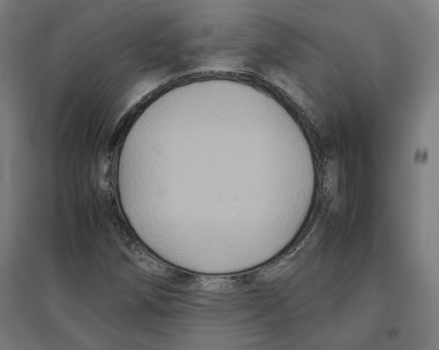 X0000096731258200803041215
