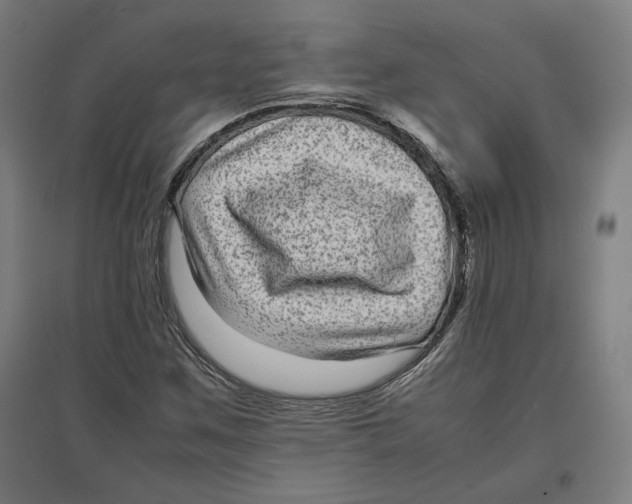 X0000096731259200803041215