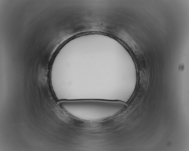 X0000096731260200803041215