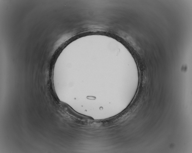 X0000096731261200803041215