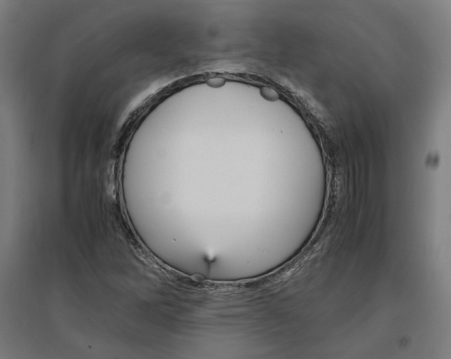 X0000096731262200803041215