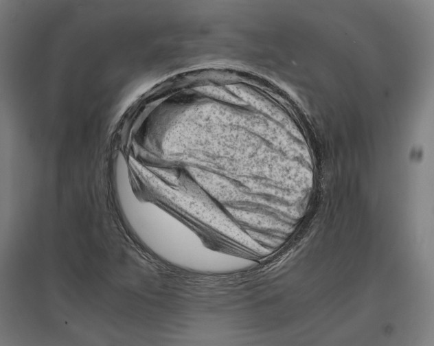 X0000096731263200803041215