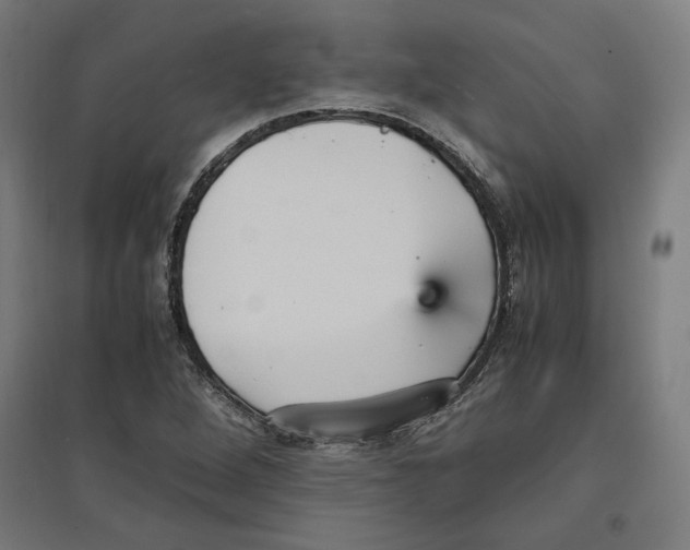 X0000096731264200803041215