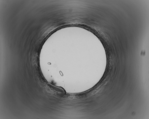 X0000096731265200803041215