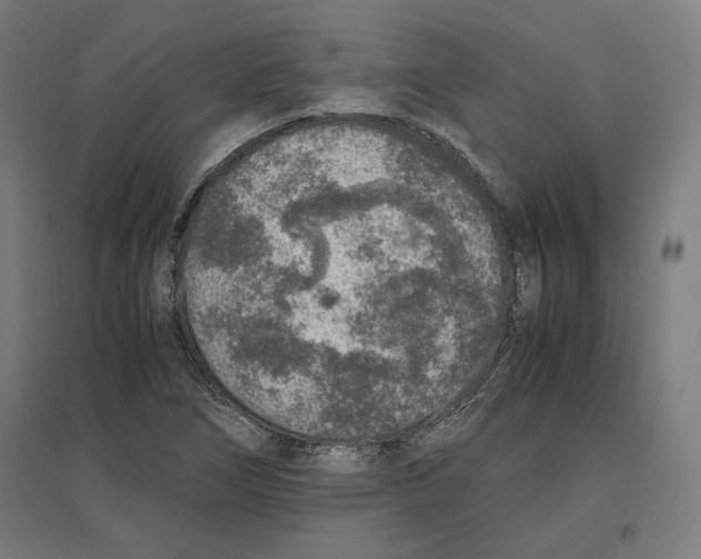 X0000096731266200803041215