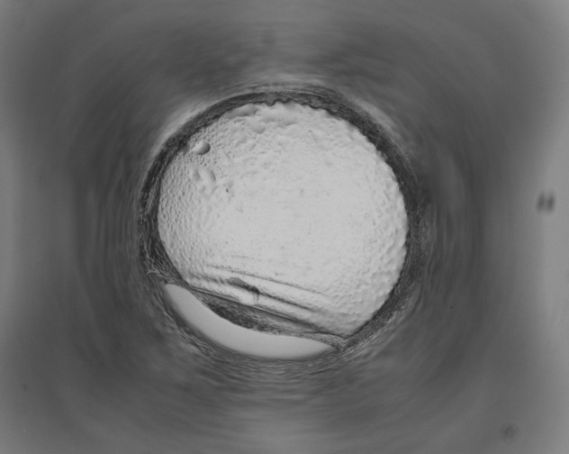 X0000096731267200803041215