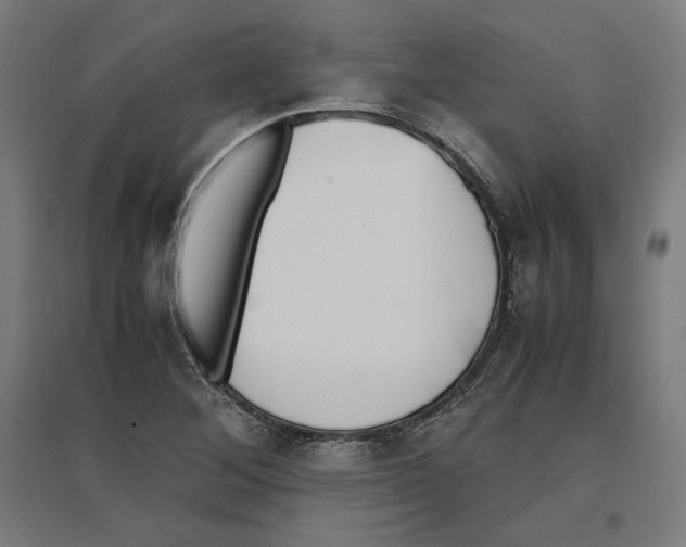 X0000096731268200803041215