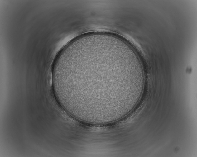X0000096731269200803041215