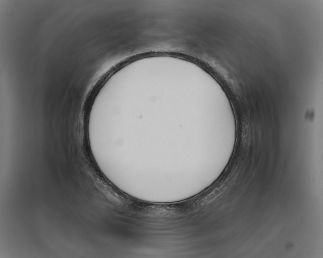 X0000096731270200803041215