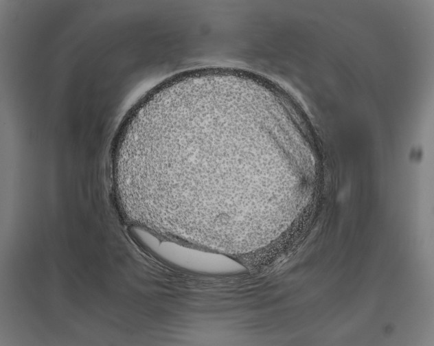 X0000096731271200803041215
