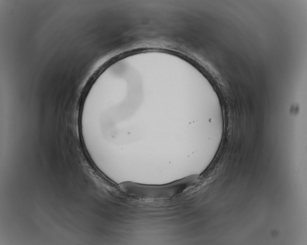 X0000096731272200803041215