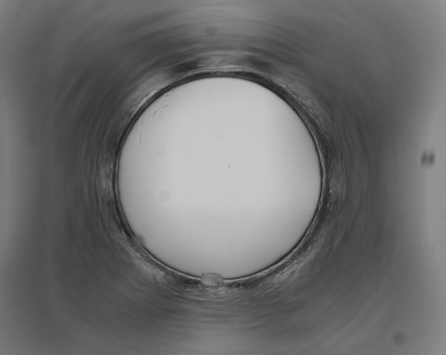 X0000096731273200803041215