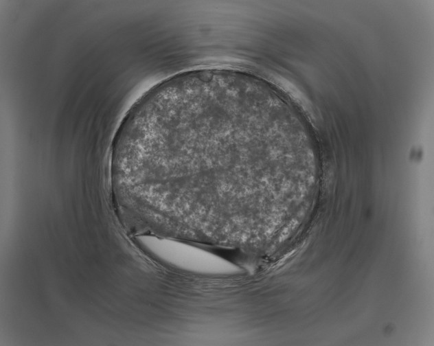 X0000096731275200803041215
