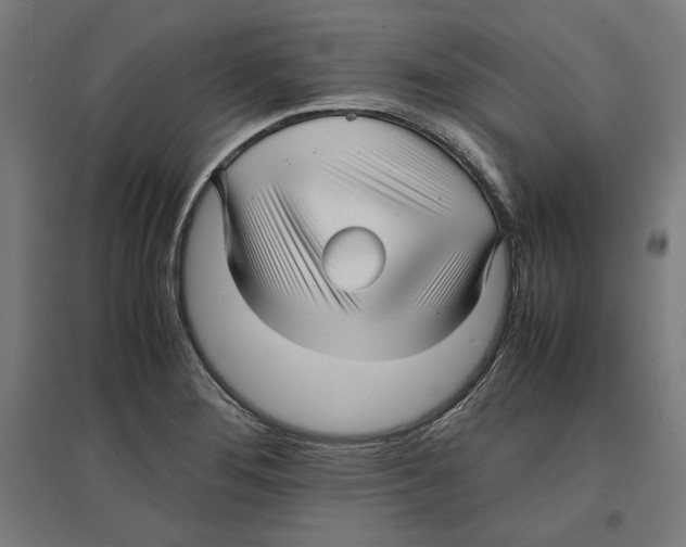 X0000096731276200803041215