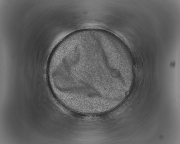 X0000096731277200803041215