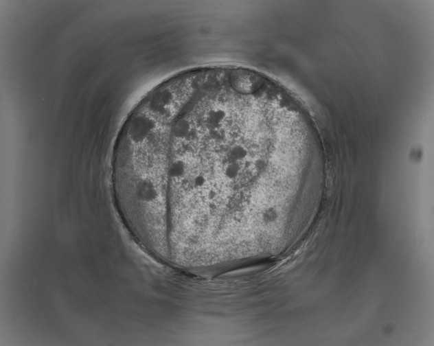 X0000096731279200803041215