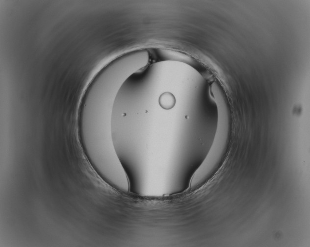 X0000096731280200803041215
