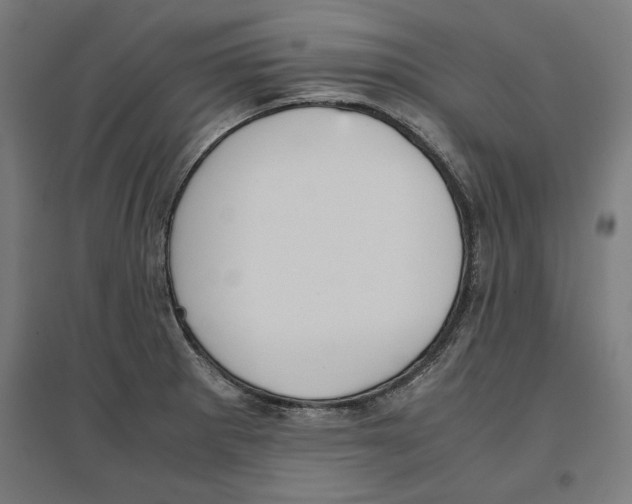 X0000096731281200803041215