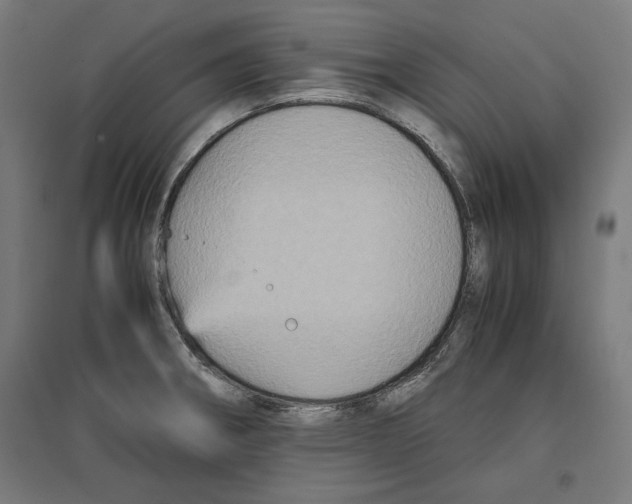 X0000096731282200803041215