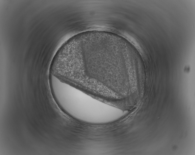 X0000096731283200803041215