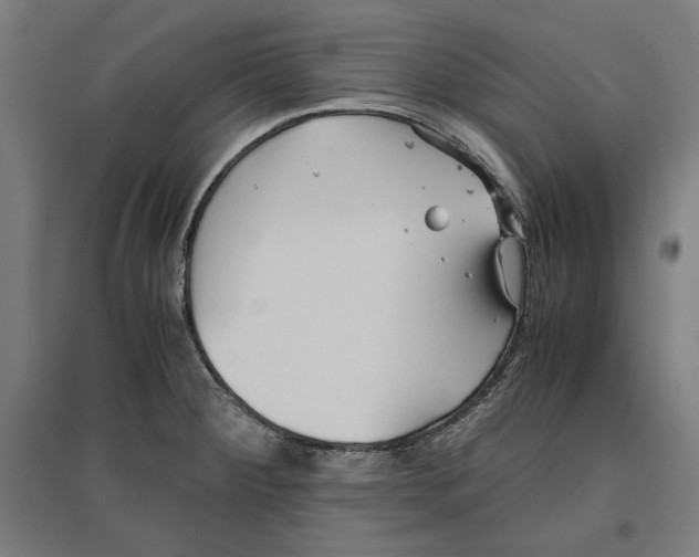 X0000096731284200803041215