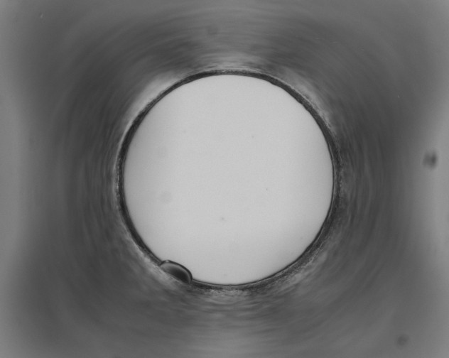 X0000096731285200803041215