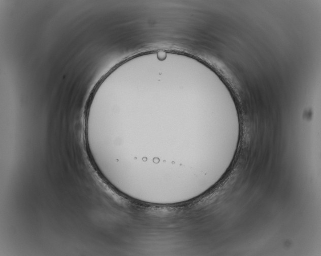 X0000096731286200803041215