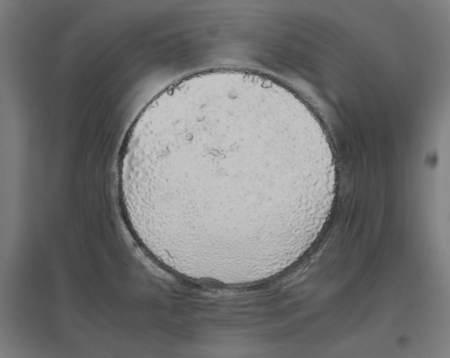 X0000096731287200803041215