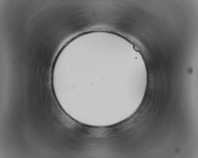 X0000096731288200803041215