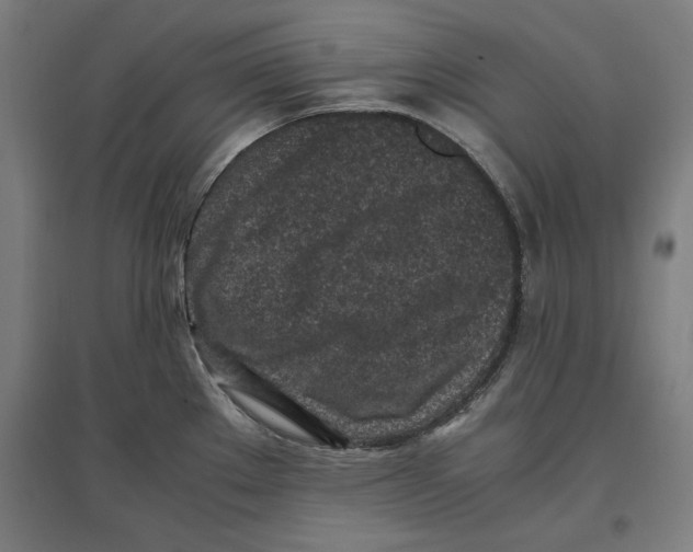X0000096731289200803041215