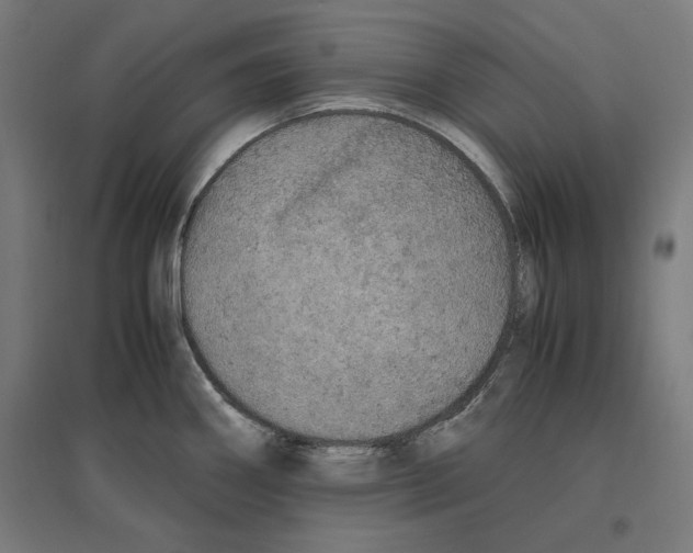 X0000096731290200803041215