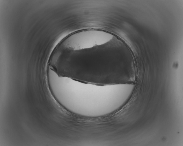 X0000096731291200803041215