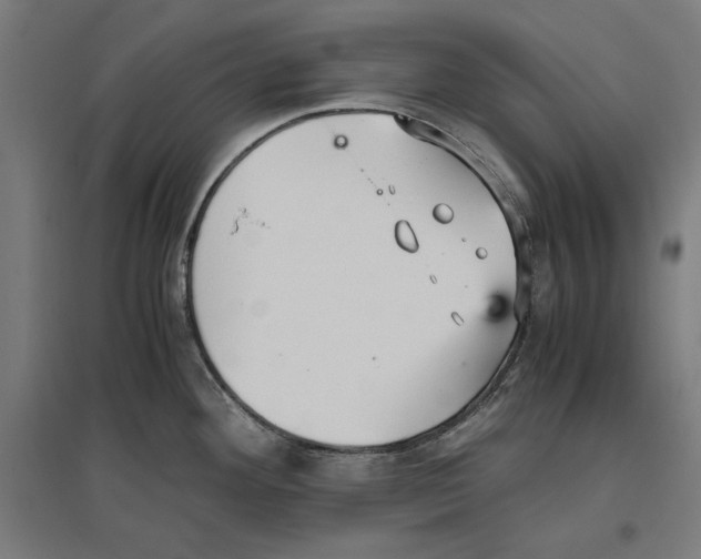 X0000096731292200803041215