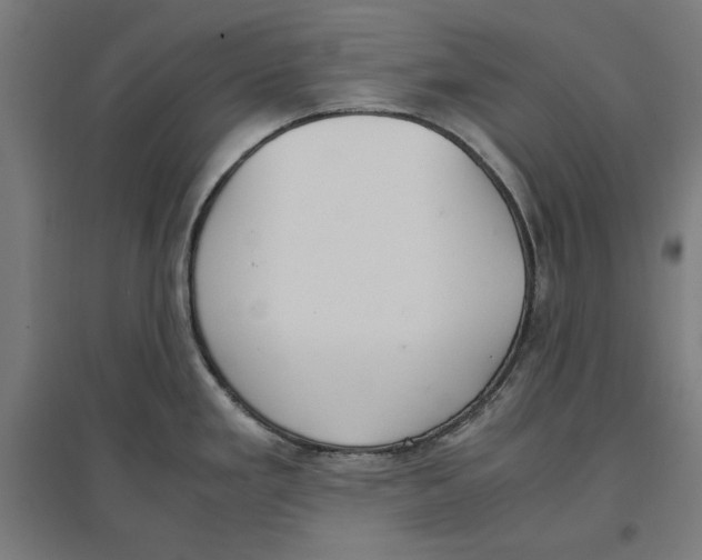 X0000096731293200803041215