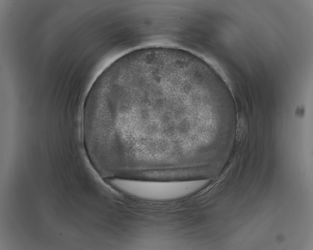 X0000096731295200803041215