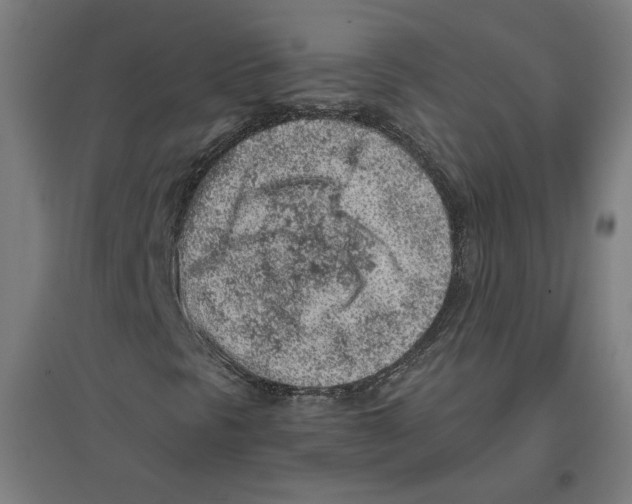 X0000096731297200803041214