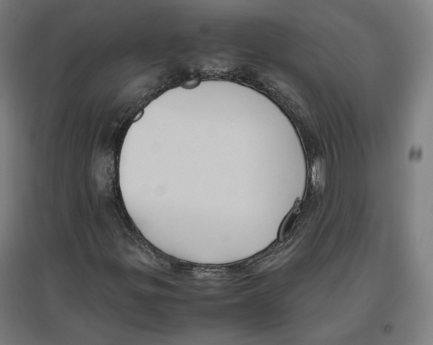X0000096731299200803041214