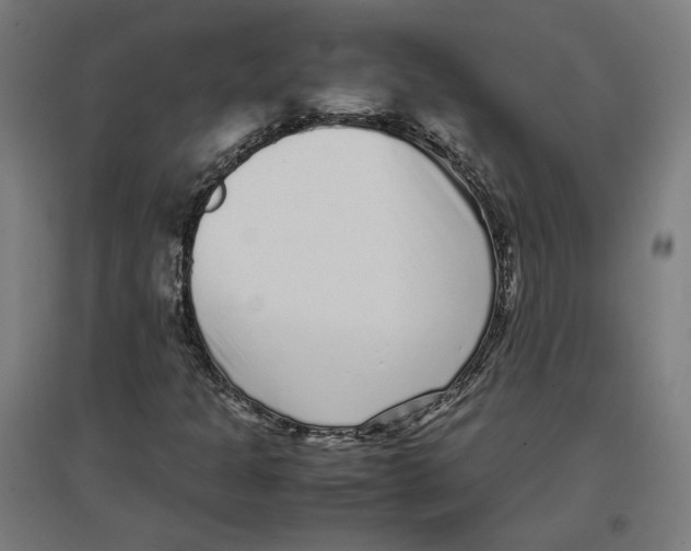 X0000096731301200803041214