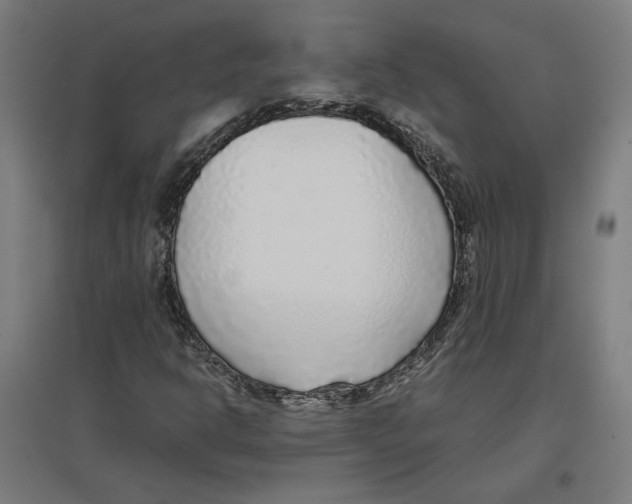 X0000096731302200803041214
