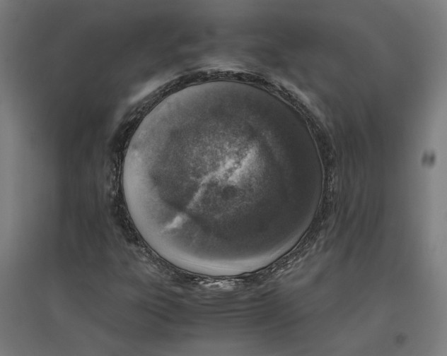 X0000096731303200803041214