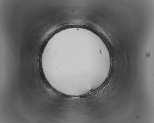 X0000096731304200803041214